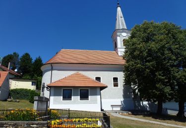 Percorso A piedi Gemeinde Pilgersdorf - Bubendorf - Raipel - Bernstein - Photo