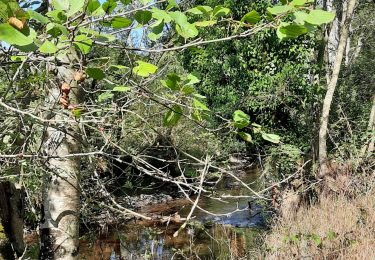 Trail Walking Athis-Val-de-Rouvre - roche oestre - Photo