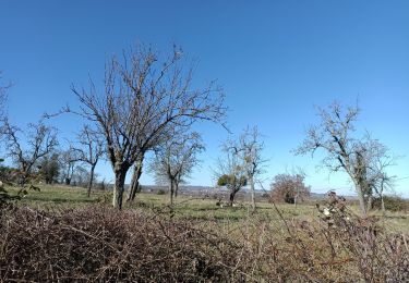 Tocht Stappen Montluçon - ijj - Photo