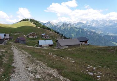 Excursión Senderismo Fillière - GLIERES: MONUMENT - COL DE L'OVINE - CHALET DES AUGES - Photo