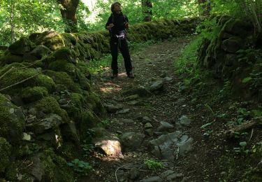 Excursión Senderismo Saint-Chély-d'Aubrac - St chely Aubrac  - Photo