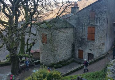 Tocht Stappen Mazamet - depuis HAUPOULet  en 2 boucles - Photo