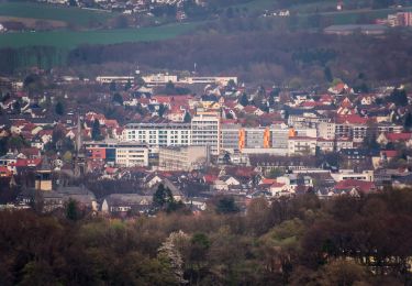 Excursión A pie Detmold - Zugangsweg Hermannshöhen - Detmold - Photo