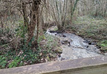 Tocht Stappen Vigneux-de-Bretagne - De VdB à SEdM via LTdB - Photo