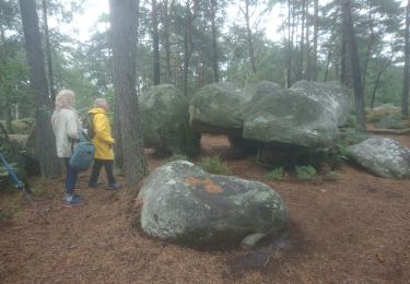 Randonnée Marche Fontainebleau - Bas Breau 4 août 2023  - Photo