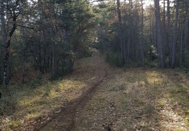 Trail Walking Manosque - Stationnement Pelicier, direction Dauphin - Photo