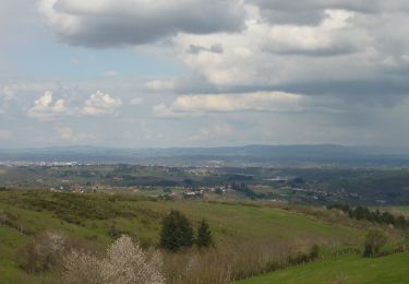 Excursión Bici de montaña Roanne - Croix du lac, col du Bouchet et croix des lièvres - Photo