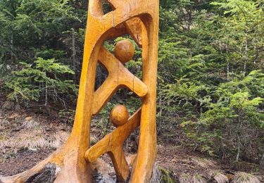 Tour Wandern Aussois - sentier des sculptures - Photo