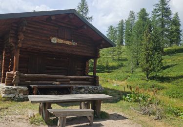 Trail Walking Saint-Martin-Vésubie - Mont Archas, Lac Adus  - Photo
