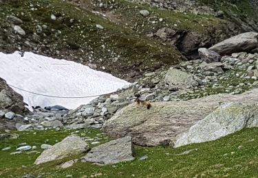 Trail Walking Val-Cenis - BRAMANS  -  73 - Photo