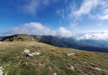 Randonnée Marche Gex - 01 Montrond et Colomby de Gex - Photo