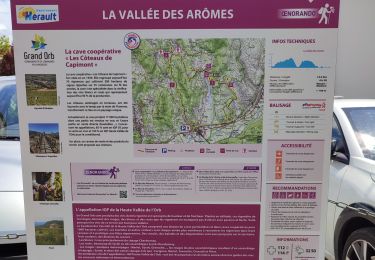 Percorso Marcia Hérépian - vallée des arômes  - Photo