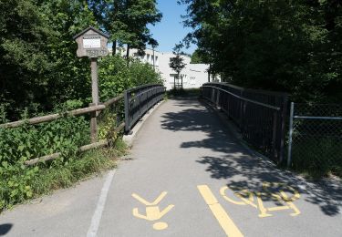 Tocht Te voet Münchwilen (TG) - Münchwilen - Dreibrunnen - Wil - Photo