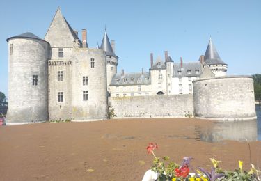 Tour Radtourismus  Briare - Châtillon sur Loire à Sully sur Loire  - Photo