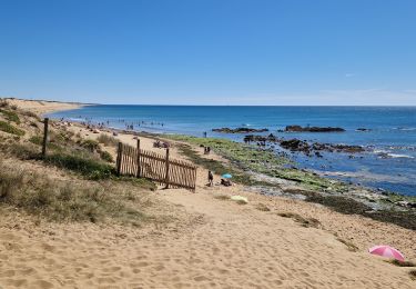 Randonnée Marche Les Sables-d'Olonne - Vendée_Sables-d'Olonne_Plage_de_Sauveterre - Photo