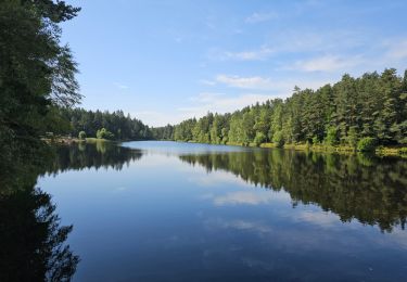 Tour Wandern La Chaise-Dieu - La Chaise-Dieu, la forêt de l'est - Photo