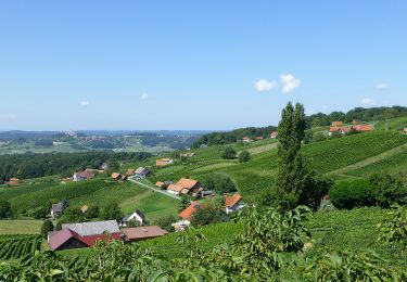 Tour Zu Fuß Straden - Um die Mitte - Photo