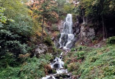 Trail Walking Le Hohwald - Le Hohwald  - Photo