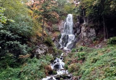 Tocht Stappen Le Hohwald - Le Hohwald  - Photo