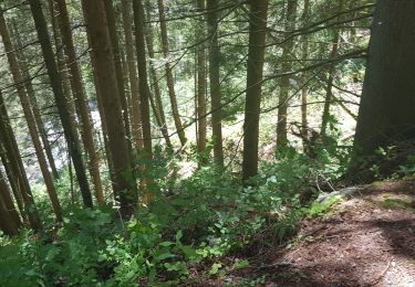 Tour Wandern Vallorcine - Vallorcine a la cascade de Barberine - Photo