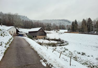 Excursión Senderismo Vieux-Moulin - Vieux-Moulin- La ferme des Fourmis - Vieux Moulin - Photo