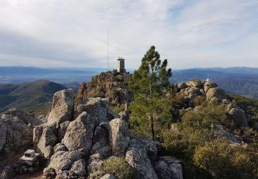 Trail Walking Fréjus - mont vinaigre - Photo