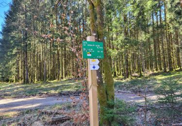 Tocht Stappen Saint-Hubert - Bonne rue 040425 - Photo