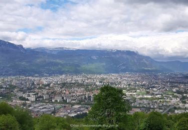 Trail Walking Gières - Boucle Mûrier - Venon depuis Gières - Photo
