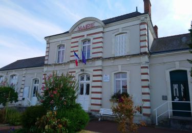 Tour Wandern  - Druye - Sentier du menhir - 14km 95m 2h50 - 2019 08 03 - Photo