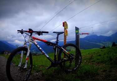 Randonnée V.T.T. Le Grand-Bornand - VTT sur Le_Grand_Bornand 