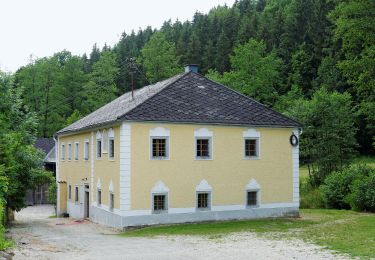 Tocht Te voet Haslach an der Mühl - Tanzbodenweg - Photo