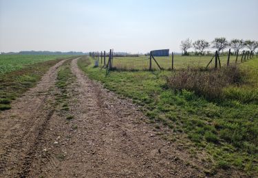 Randonnée Marche Villiers-sur-Loir - Villiers-sur-Loir Circuit PR (Promenade et Randonnée) - Photo