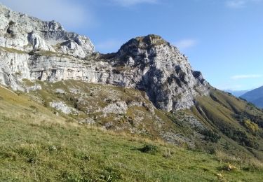 Trail Walking Talloires-Montmin - la tournette par le mamelon Vert en boucle - Photo