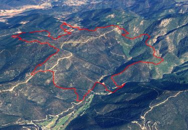 Trail Walking Collobrières - SityTrail - chapelle st guillaume  - Photo