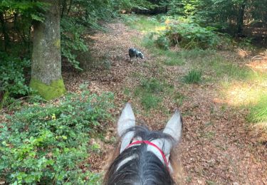 Tour Reiten Habich - Tucker avec les dadous 1ère fois - Photo