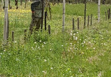 Trail Walking Châteldon - CLD-MM- le 30/04/2019 (Chateldon-Ris) - Photo