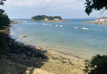 Trail Walking Douarnenez - Douarnenez - Photo