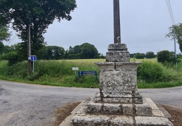 Tocht Stappen Glomel - La grande tranchée - Photo