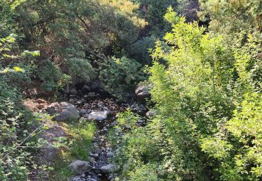 Tocht Stappen Las Condes - Los Peumos - Photo