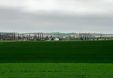 Excursión Senderismo Gélannes - GÉLANNES, le village et les champs de céréales - Photo