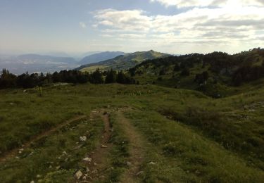 Tour Wandern Lélex - cret de la neige - Photo