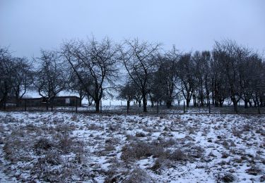 Excursión A pie Neumarkt in der Oberpfalz - Rundweg Labersricht - Photo