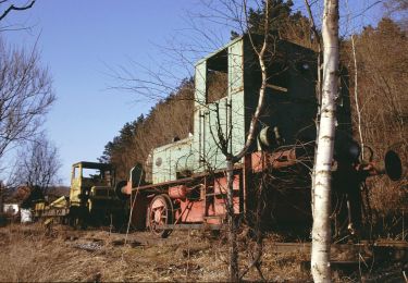 Percorso A piedi Altmannstein - Galgenbergweg - Photo