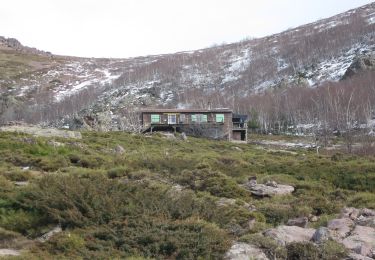 Percorso A piedi Calenzana - Chemin de Pinzu a Stramba - Refuge D'Ortu di u Piobbu - Photo