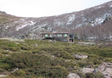 Tocht Te voet Calenzana - Chemin de Pinzu a Stramba - Refuge D'Ortu di u Piobbu - Photo