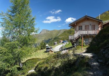 Trail On foot San Pietro di Cadore - AT-172 - Photo