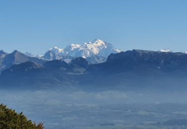 Tour Wandern Collonges-sous-Salève - La Croisette - Plan du Salève - Photo