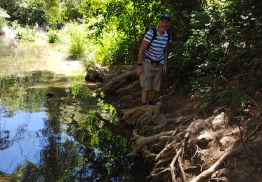 Trail Walking Callas - gorges de Pennafort - Photo