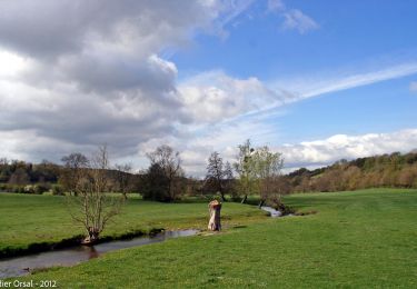 Trail Walking Nogent-le-Rotrou - SityTrail - Nogent-le-Rotrou - Saint-Victor-de-Buthon 19 km - Photo