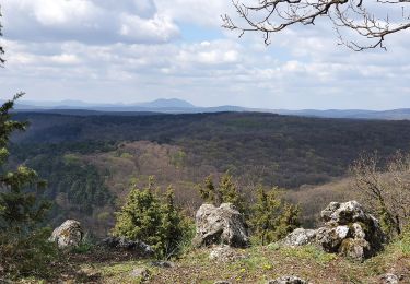 Tour Zu Fuß Bezirk Pistyan - Náučný chodník ŠTERUSY - REBRO - SPROSNÁ - ORLIE SKALY - Photo